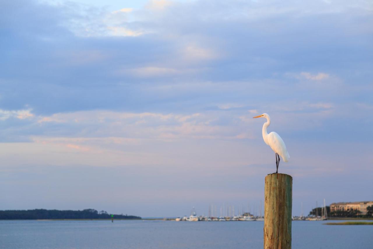 Breakers 215 Apartman Hilton Head Island Kültér fotó
